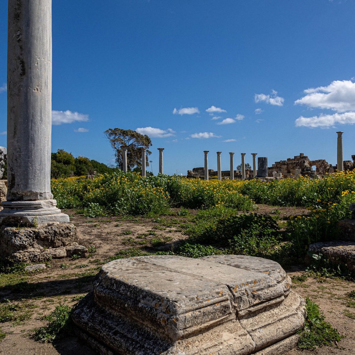 Salamis Antik Kenti